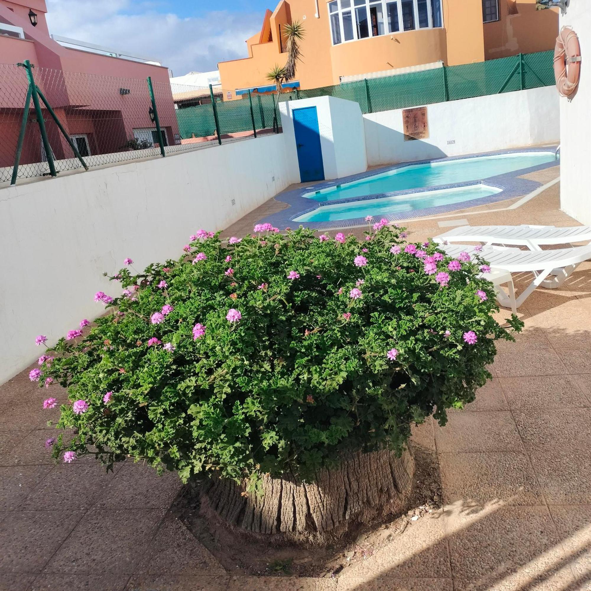 Vivienda Vacacional Alipatri Caleta De Fuste Ngoại thất bức ảnh